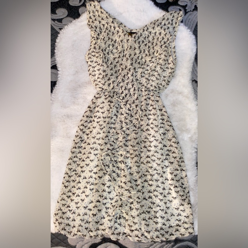 Cute kitty dress